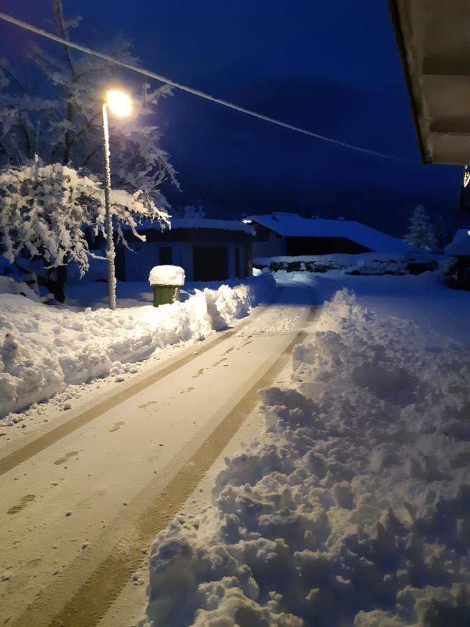 Alpska Roza Appartement Kranjska Gora Buitenkant foto