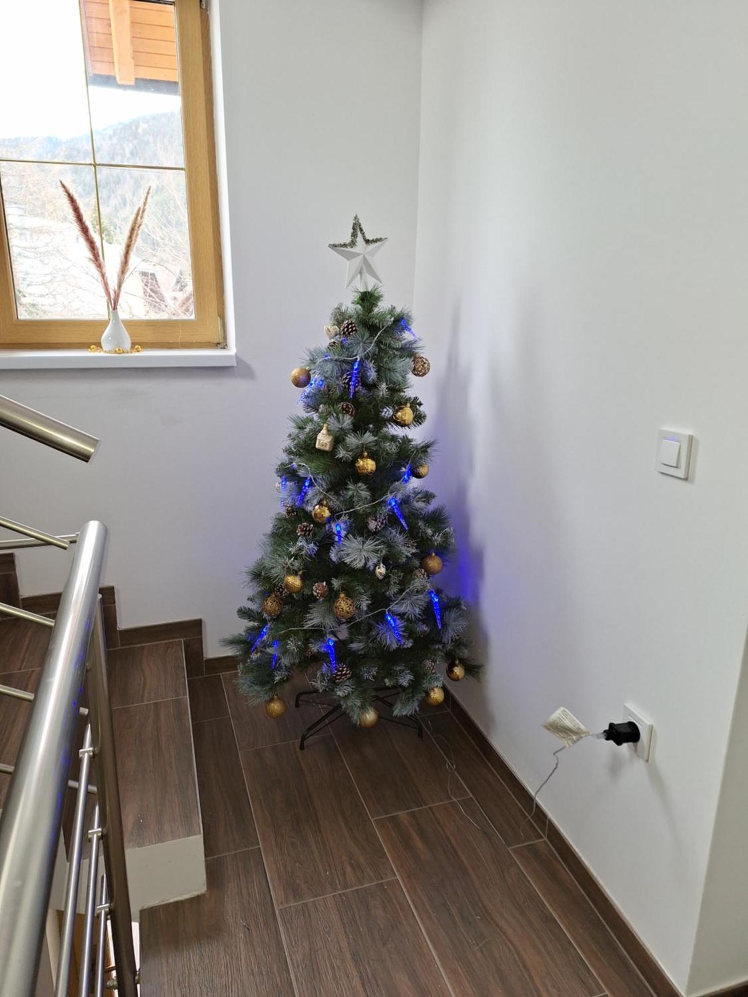 Alpska Roza Appartement Kranjska Gora Buitenkant foto